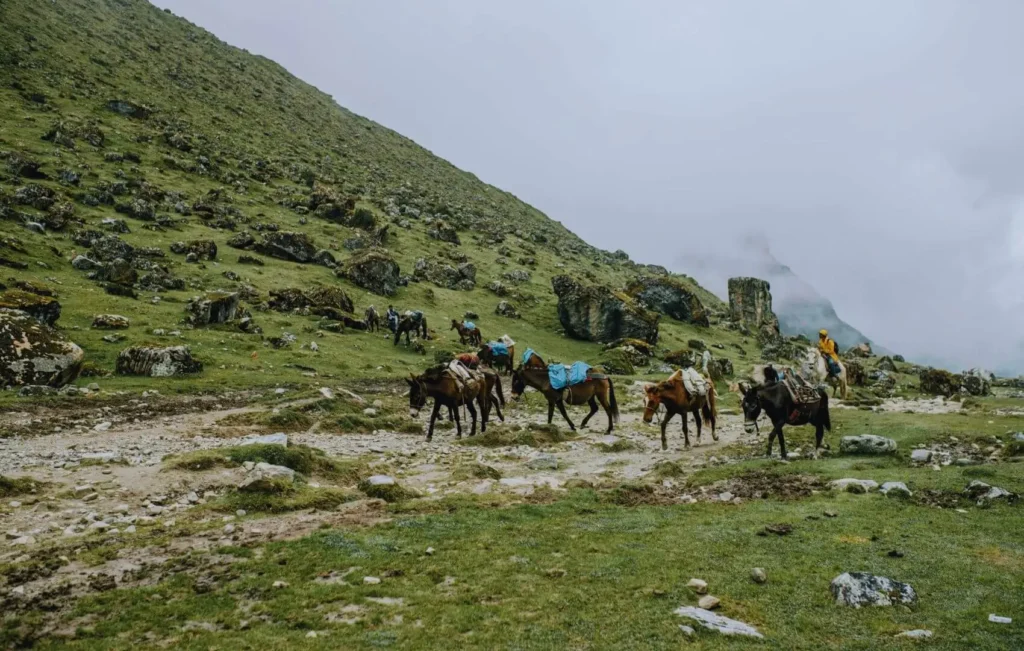 10 Day Salkantay & Inca Trail Expeditions